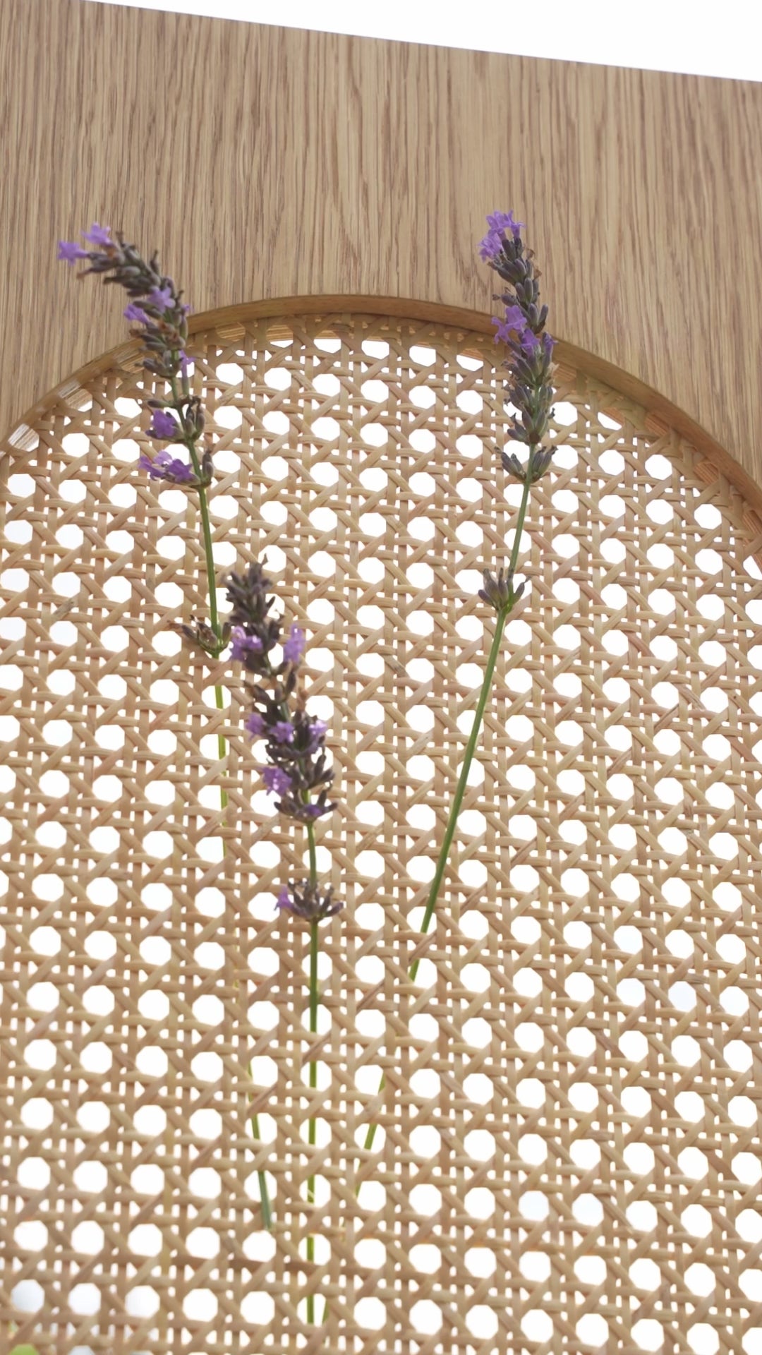 Načíst video: Highboard MOON L